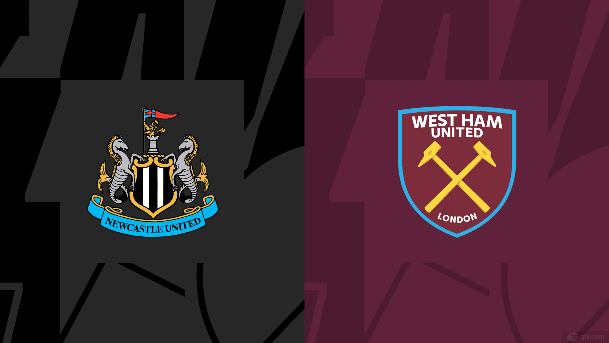 霍莱什的未 霍莱什的未